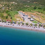 Alati *